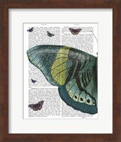Butterfly in Turquoise and Yellow a Fine Art Print