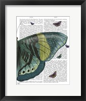 Butterfly in Turquoise and Yellow b Fine Art Print