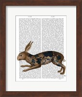 Hare and Black Leaves Fine Art Print