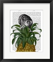 Loris on Pineapple Fine Art Print