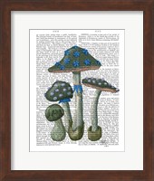 Psychedelic Mushrooms 1 Fine Art Print