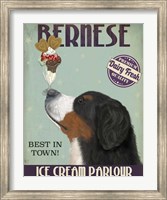 Bernese Ice Cream Fine Art Print