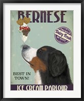 Bernese Ice Cream Fine Art Print