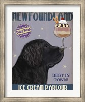 Newfoundland Ice Cream Fine Art Print