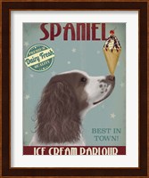Springer Spaniel, Brown and White, Ice Cream Fine Art Print