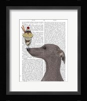 Greyhound, Grey, Ice Cream Fine Art Print