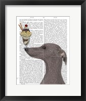 Greyhound, Grey, Ice Cream Fine Art Print