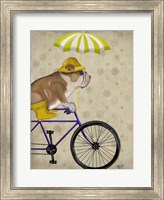 English Bulldog on Bicycle Fine Art Print