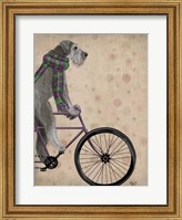 Schnauzer on Bicycle, Grey Fine Art Print