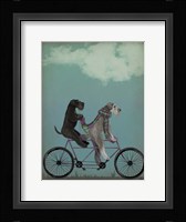 Schnauzer Tandem Fine Art Print