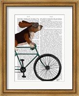 Basset Hound on Bicycle Fine Art Print