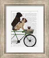 Pugs on Bicycle Fine Art Print