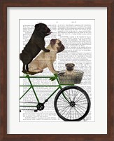 Pugs on Bicycle Fine Art Print