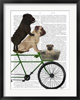 Pugs on Bicycle Fine Art Print