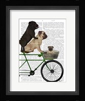 Pugs on Bicycle Fine Art Print