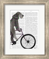 Schnauzer on Bicycle, Grey Fine Art Print