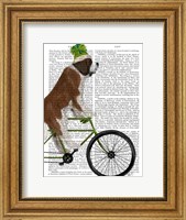 St Bernard on Bicycle Fine Art Print