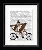 St Bernard Tandem Fine Art Print