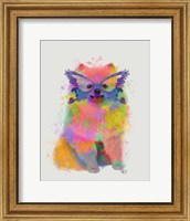 Rainbow Splash Pomeranian Fine Art Print