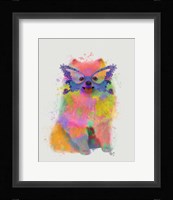 Rainbow Splash Pomeranian Fine Art Print