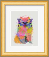 Rainbow Splash Pomeranian Fine Art Print