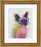 Rainbow Splash Cat 2 Fine Art Print