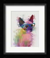 Rainbow Splash Cat 2 Fine Art Print