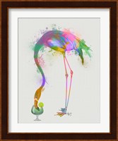 Rainbow Splash Flamingo 3 Fine Art Print