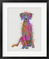 Rainbow Splash Weimaraner, Full Fine Art Print