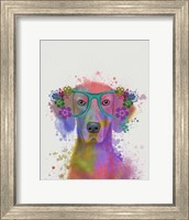 Rainbow Splash Weimaraner, Portrait Fine Art Print