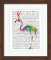 Rainbow Splash Flamingo 1 Fine Art Print