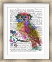 Rainbow Splash Owl Fine Art Print