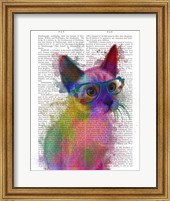 Rainbow Splash Cat 2 Fine Art Print