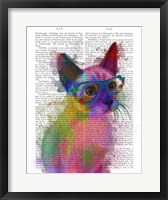 Rainbow Splash Cat 2 Fine Art Print