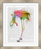 Rainbow Splash Flamingo 4 Fine Art Print
