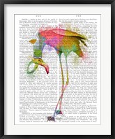 Rainbow Splash Flamingo 4 Fine Art Print