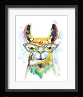 Smarty-Pants Llama Framed Print