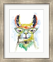 Smarty-Pants Llama Fine Art Print
