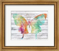 Wings on Wood II Fine Art Print