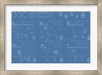 Dog Breeds Infograph Fine Art Print