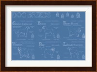 Dog Breeds Infograph Fine Art Print
