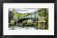 Farm & Country III Framed Print