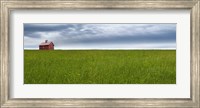 Farm & Country VI Fine Art Print
