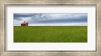 Farm & Country VI Fine Art Print