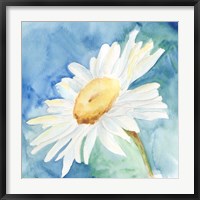 Daisy Sunshine I Fine Art Print