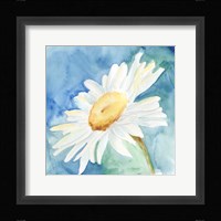 Daisy Sunshine I Framed Print
