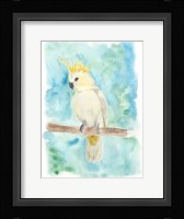 Sweet Tropical Bird II Framed Print