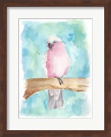 Sweet Tropical Bird III Fine Art Print