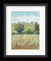 Summer Breeze II Framed Print