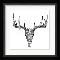 Botanic Mount I Framed Print